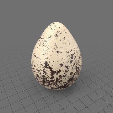 Killdeer egg