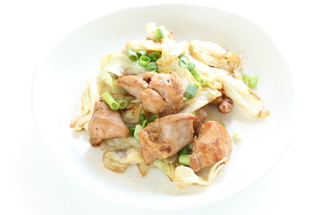 Chinese food, cabbage and chicken stir fried