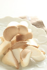 Japanese fungus Erigin Oyster mushroom 