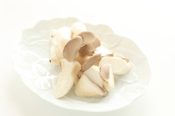 Japanese fungus Erigin Oyster mushroom 