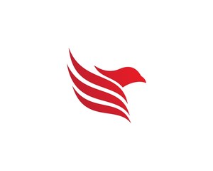 Eagle Bird Logo Template