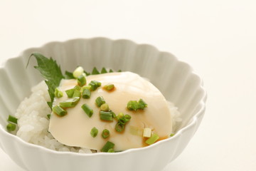 Japanese food, Tofu and spring onion on rice for healthy food image