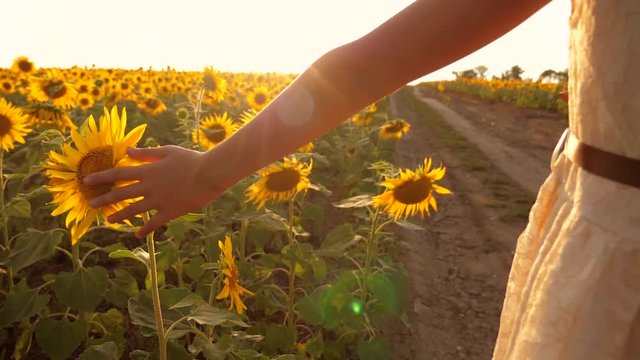 Happy little girls hand on the field of sunflowers in summer. beautiful portrait little girl in sunflowers. slow motion video. girl teenager and sunflowers field concept lifestyle agriculture