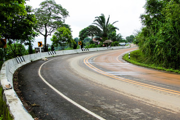 Road in the woods