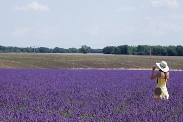 Tourist in lavender field