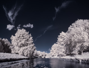 infrared photography - ir photo of landscape with tree under sky with clouds - the art of our world...