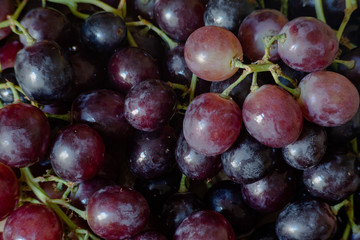 grape