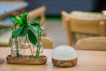 Various decorative items (lamp, vase, picture frame) are decorated in (home, garden, restaurant, coffee shop) small glass decorated beautifully.