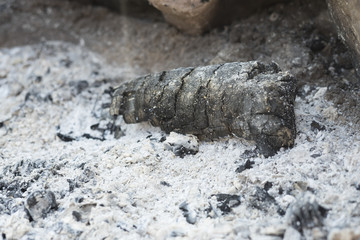 Burnt log and ash 