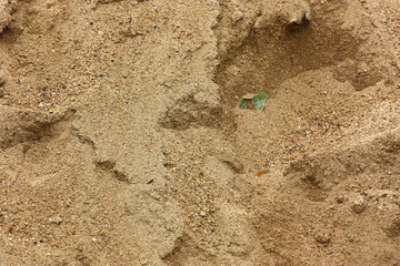 a sand from the sea