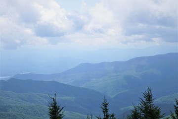 Beautiful view on the way to Clingmans Dome in Great Smoky Mountains National Park, Summer in NC...