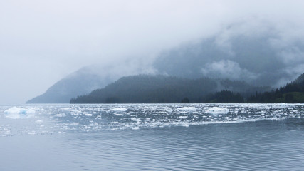 Alaska ocean cruise among icebergs