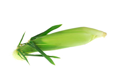 close up on fresh corn cob with husk isolated on white background
