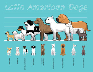 Latin American Dogs Size Comparison Set Cartoon Vector Illustration