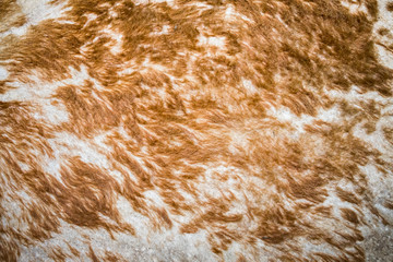 The details and texture of the leather made the drum.