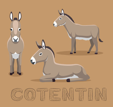 Donkey Contentin Cartoon Vector Illustration