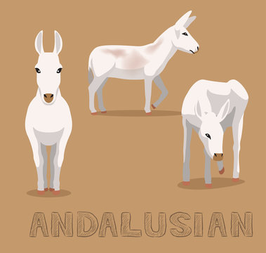 Donkey Andalusian Cartoon Vector Illustration