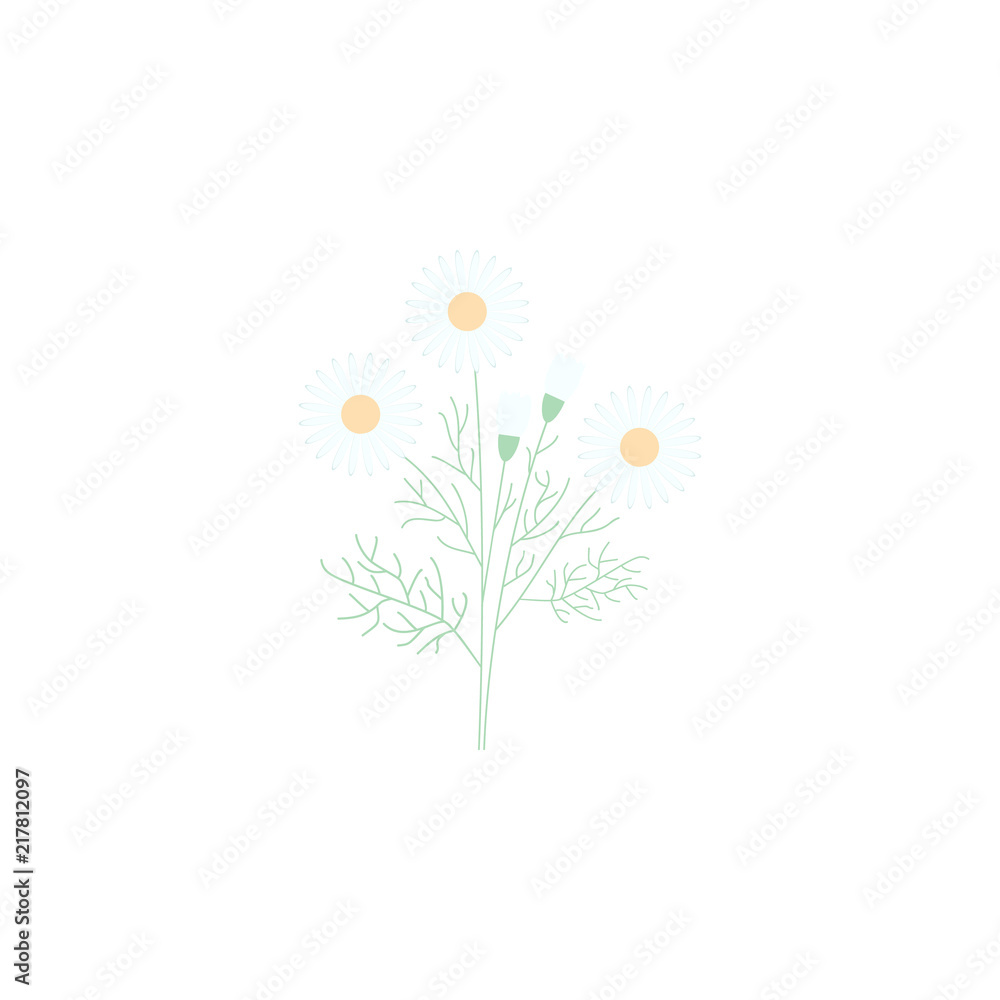 Poster chamomile. element of flower for mobile concept and web apps. colored chamomile can be used for web 