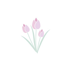 tulips. Element of flower for mobile concept and web apps. Colored tulips can be used for web and mobile