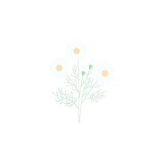 chamomile. Element of flower for mobile concept and web apps. Colored chamomile can be used for web and mobile