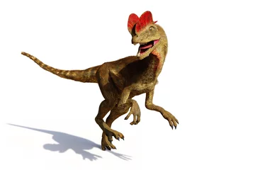 Fotobehang Dilophosaurus, theropod dinosaur from the Early Jurassic period (3d illustration isolated with shadow on white background) © dottedyeti