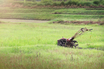 Two Wheel Tractor in Paddy Field