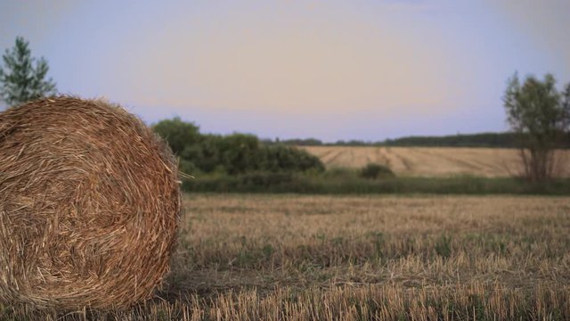 the lonely strong girl in the field at sunset pushes a haystack