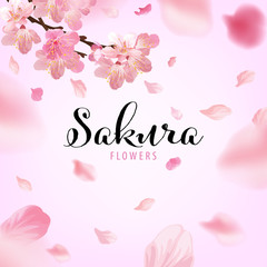 Sakura flowers background template. Vector set of blooming floral for holiday invitations, greeting card and fashion design.