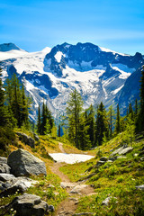 Fototapeta na wymiar Jumbo Pass hiking trail, British Columbia, Canada