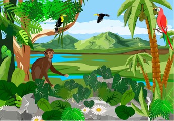 Obraz na płótnie Canvas Monkey sitting on stone, birds on tree branches, jungle, wildlife and nature theme illustration