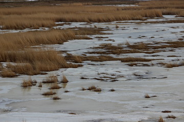 frozen fields in estonia