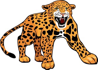 Growling and roaring leopard isolated on white vector illustration