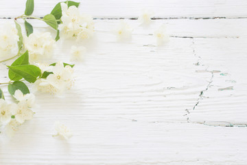 jasmine on white wooden background