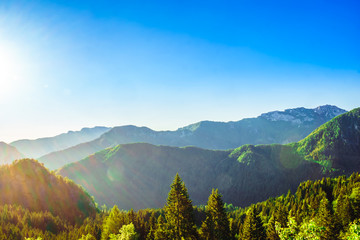 View on Sun over forest in the slovenian Alps © streetflash