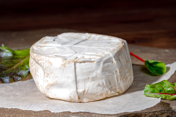 white cheese with mold on stones texture decorated green leaves