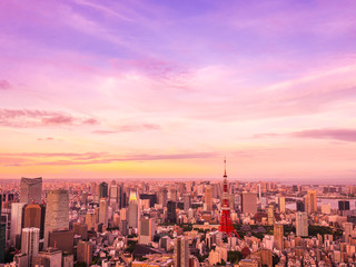 Beautiful Aerial view of architecture and building around tokyo city at sunset time