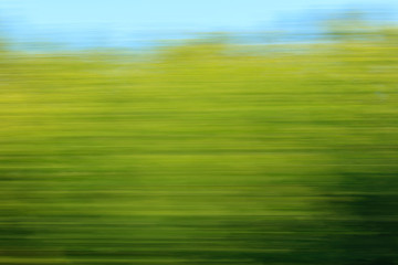 Fototapeta na wymiar Nature in motion from the train window