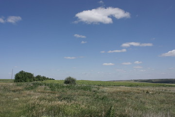 Пейзажи- селфи Земли... Россия; Саратовская обл. Татищевский район деревня Курдюм