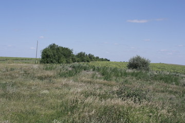 Пейзажи- селфи Земли... Россия; Саратовская обл. Татищевский район деревня Курдюм