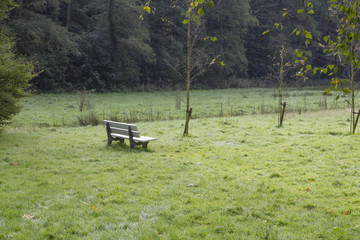 weisse Bank auf Wiese in Morgendunst