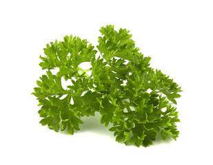 parsley isolated on a white background