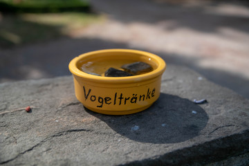 Eine Vogeltränke auf einem Grabstein 