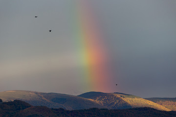 Beautiful and surreal view of part of a rainbow over some hills with birds flying