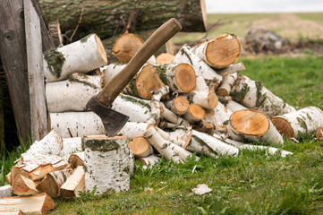 Cutting birch firewood on the lawn