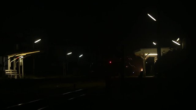 日本のローカル鉄道。田舎の駅に到着する鉄道