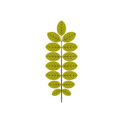 Dry Green Autumn Leaves Illustration Symbol Graphic Design