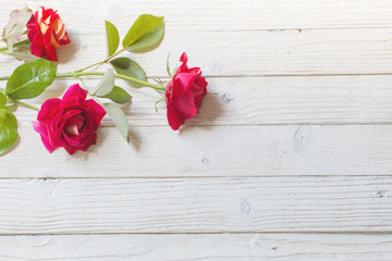 Fototapeta na wymiar roses on white wooden background