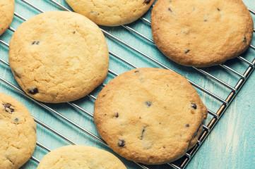 tasty oat cookie on grill tray
