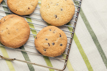 tasty oat cookie on grill tray