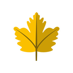 Simple Yellow Autumn Leaf Illustration Symbol Graphic Design